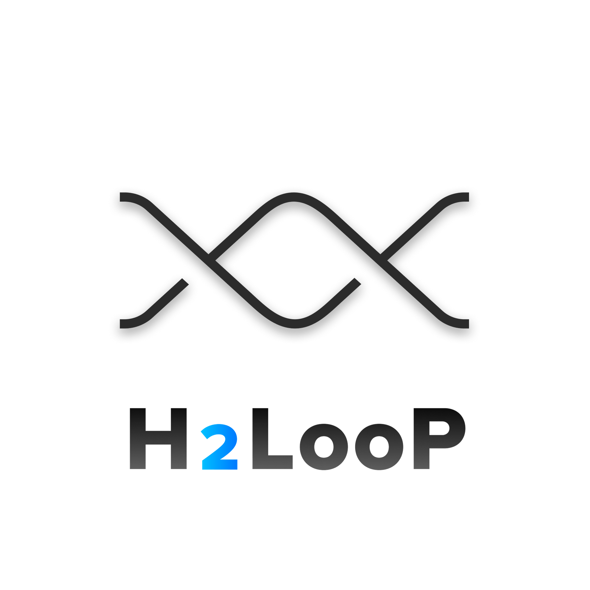 H2LooP